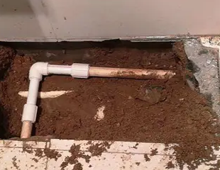 竹溪测漏水哪家好