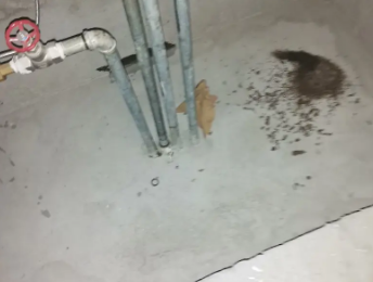 竹溪卫生间测漏水价格明细